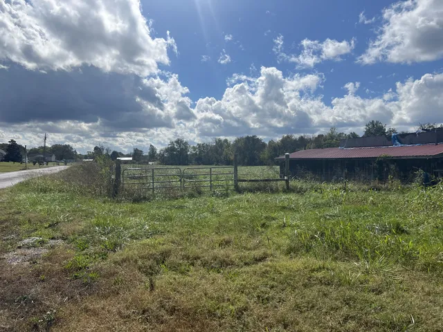 a backyard of a house with lots of green space