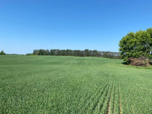 $2,599,000 | 253 X Pioneer Trail, Hamel, MN 55340