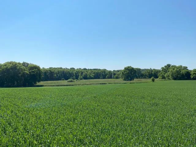 $2,599,000 | 253 X Pioneer Trail, Hamel, MN 55340