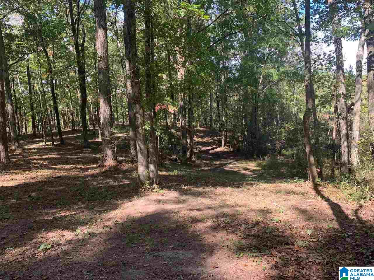 0 Embry Bend Road, Unit 1 Lincoln, AL 35096 - Photo 13 of 15
