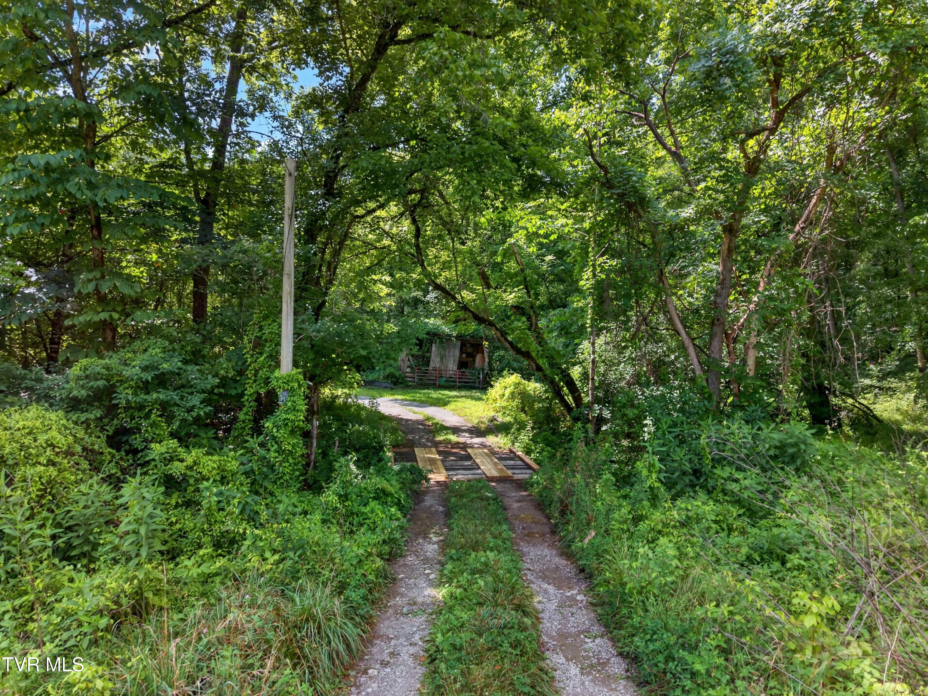 2087 Bullen Valley Road Thorn Hill, TN 37881 - Photo 19 of 29 019-2087BullenValleyRoad-ThornHill-TN-37