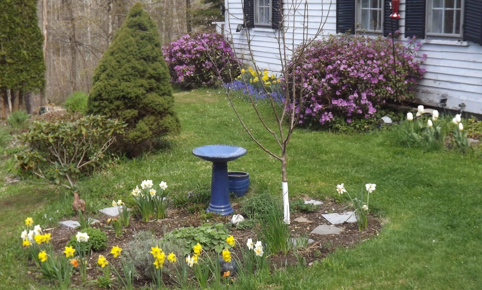 124 Washington Pond Road Marlow, NH 03456 - Photo 7 of 32