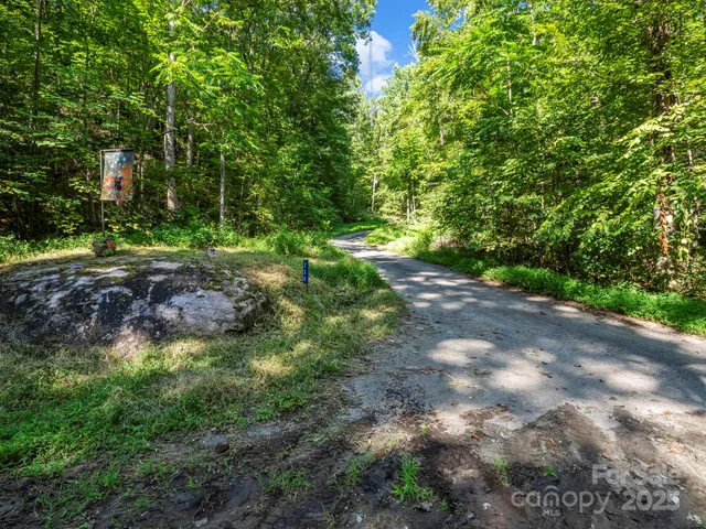a view of a street with a forest