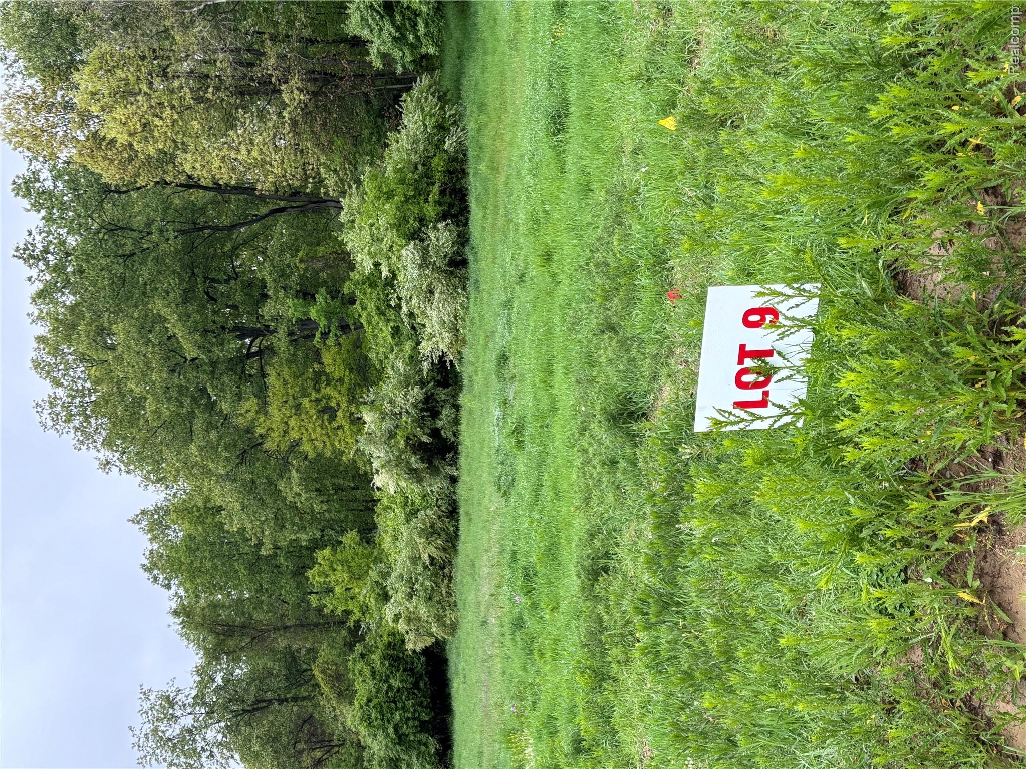 4090 Metamora Ridge Road Metamora, MI 48455 - Photo 2 of 2 IMG_9932.jpg
