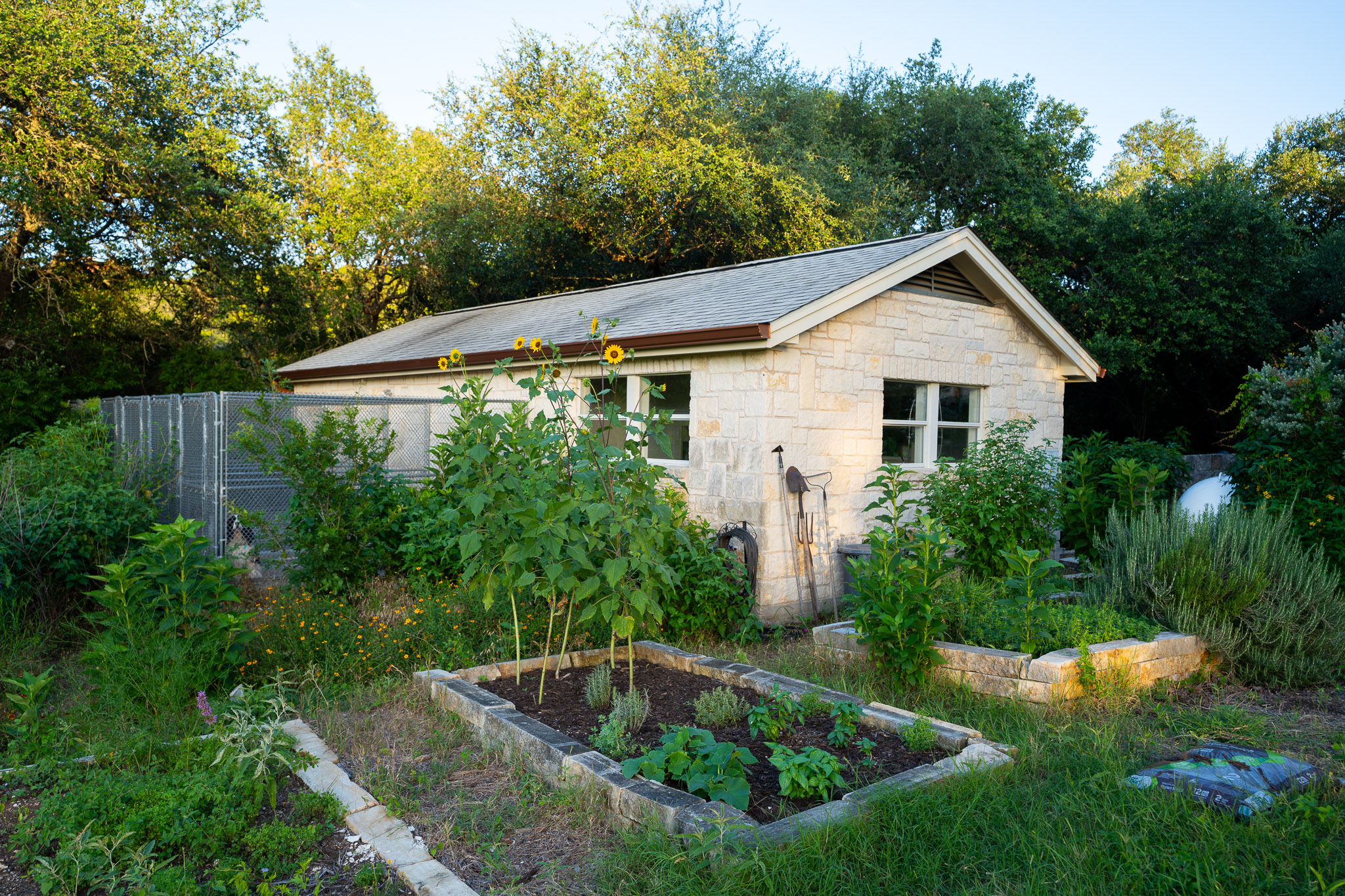 13800 Lone Rider Trail Austin, TX 78738 - Photo 23 of 32 A kennel or future pool house by xeriscaped beds and gardens.