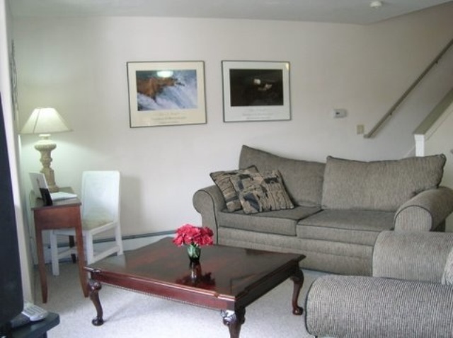302 Adams Ranch Road, Unit 20 Mountain Village, CO 81435 - Photo 3 of 7 Additional Photo