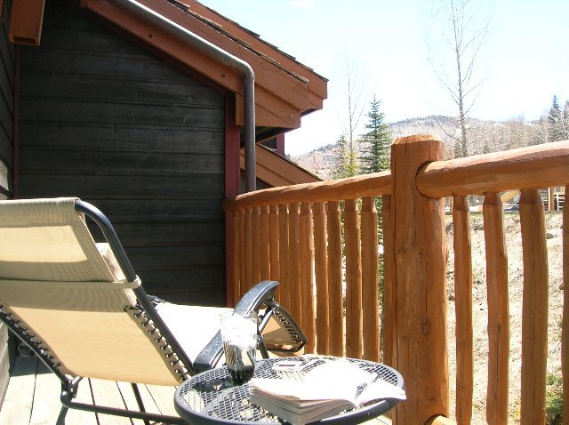 302 Adams Ranch Road, Unit 20 Mountain Village, CO 81435 - Photo 4 of 7 Additional Photo