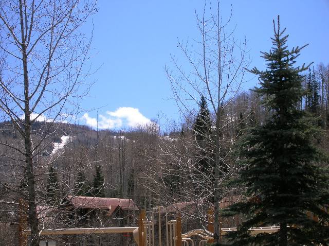 302 Adams Ranch Road, Unit 20 Mountain Village, CO 81435 - Photo 5 of 7 Additional Photo