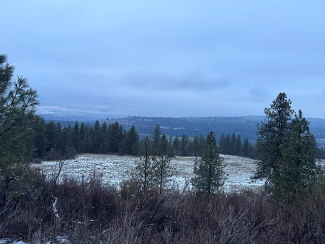 $240,000 | 31445 Hume Road, Davenport, WA 99122