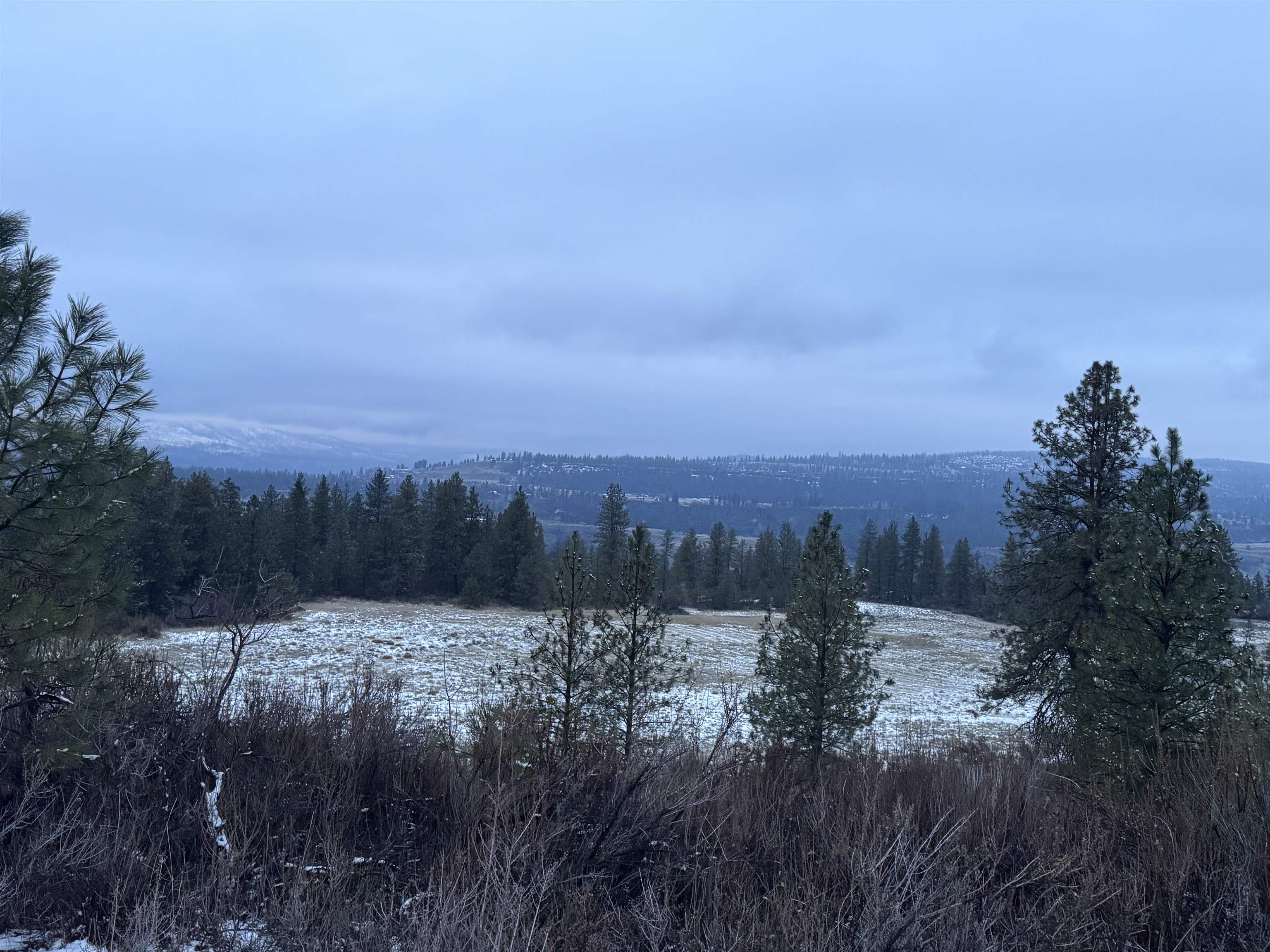 31445 Hume Road Davenport, WA 99122 - Photo 18 of 19