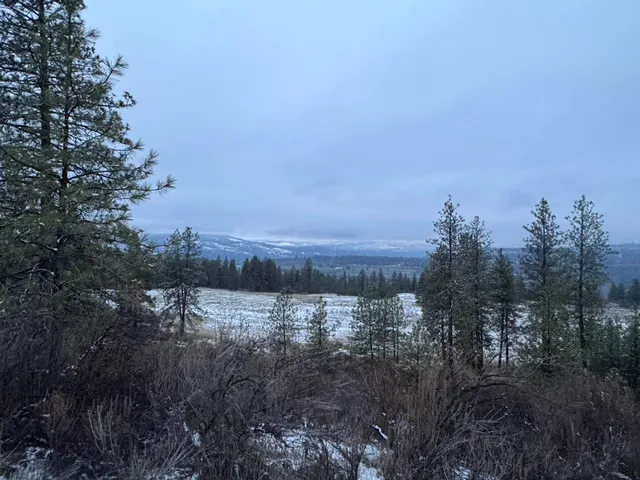 $240,000 | 31445 Hume Road, Davenport, WA 99122