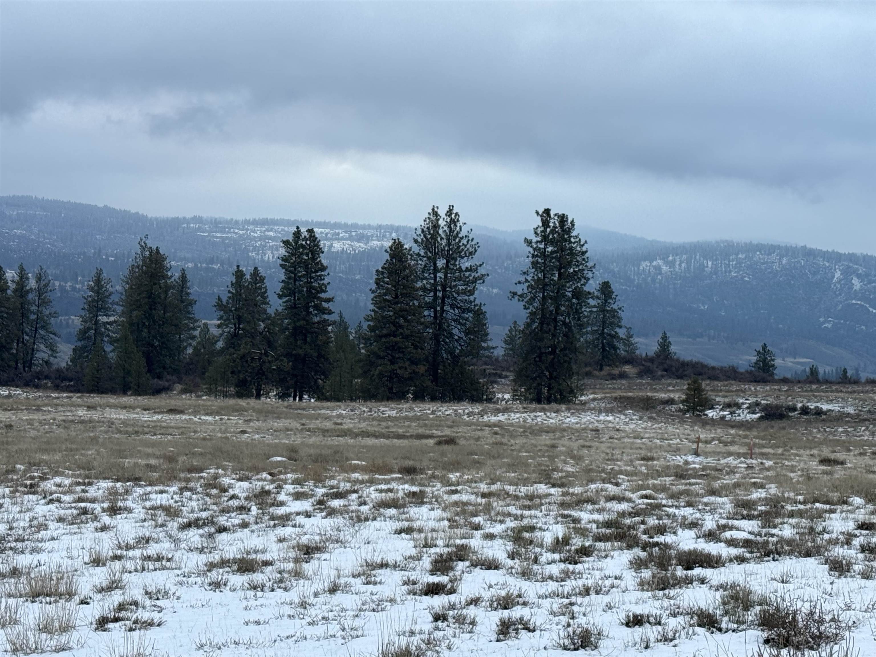 31445 Hume Road Davenport, WA 99122 - Photo 9 of 19