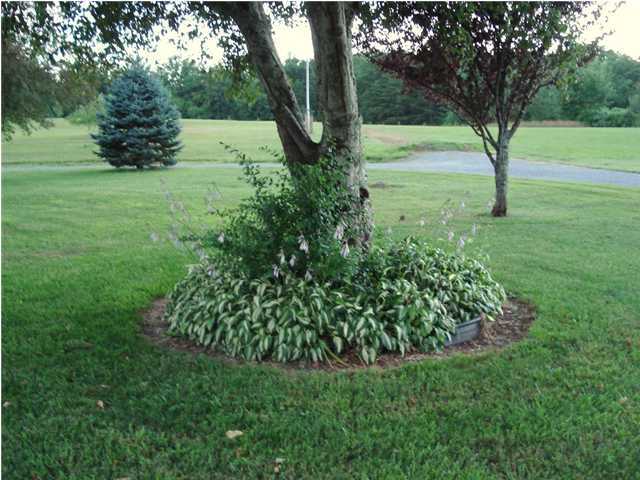3515 Henson Gap Road Dunlap, TN 37327 - Photo 17 of 18 Additional Photo