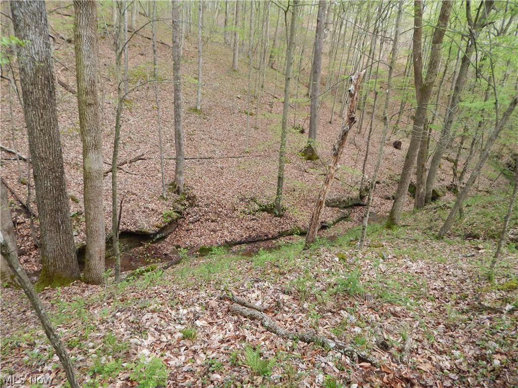6248 Oil Ridge Harrisville, WV 26362 - Photo 32 of 34