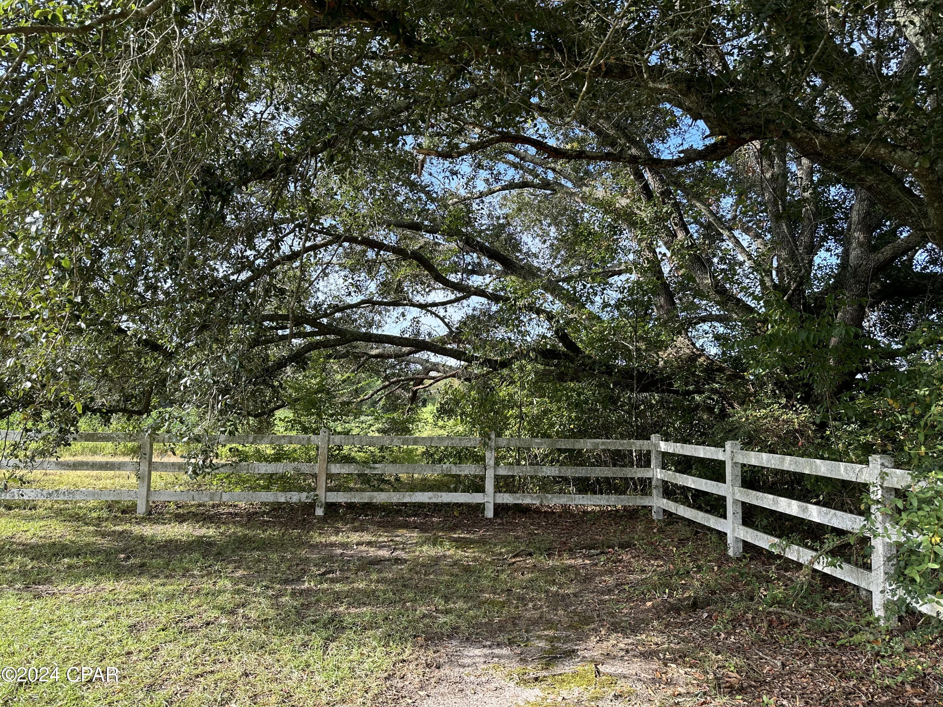 4797 Smokey Road Graceville, FL 32440 - Photo 48 of 54