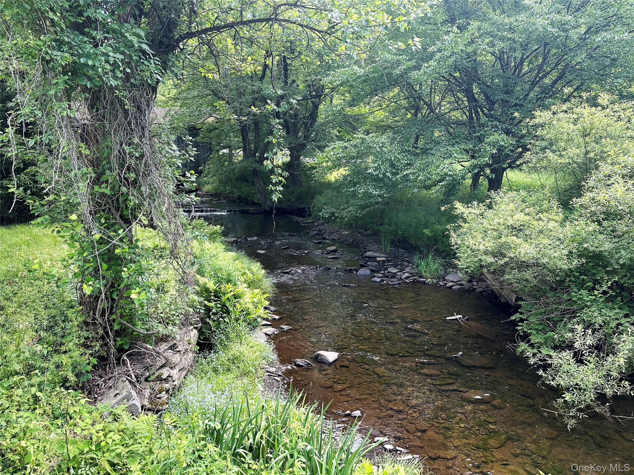 818 Methol Road Roscoe, NY 12776 - Photo 13 of 39 Private stretch of Trout Brook with crystal-clear water, natural stone banks, and mature trees creating a peaceful Catskills waterfront setting.