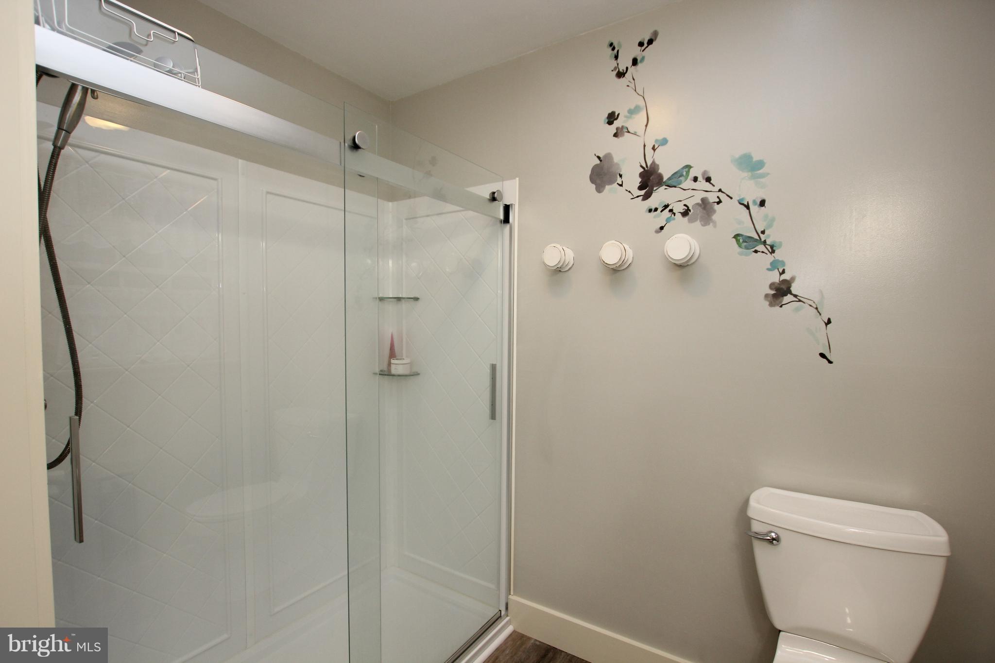 26558 Kaye Road Laurel, DE 19956 - Photo 20 of 43 Stall Shower