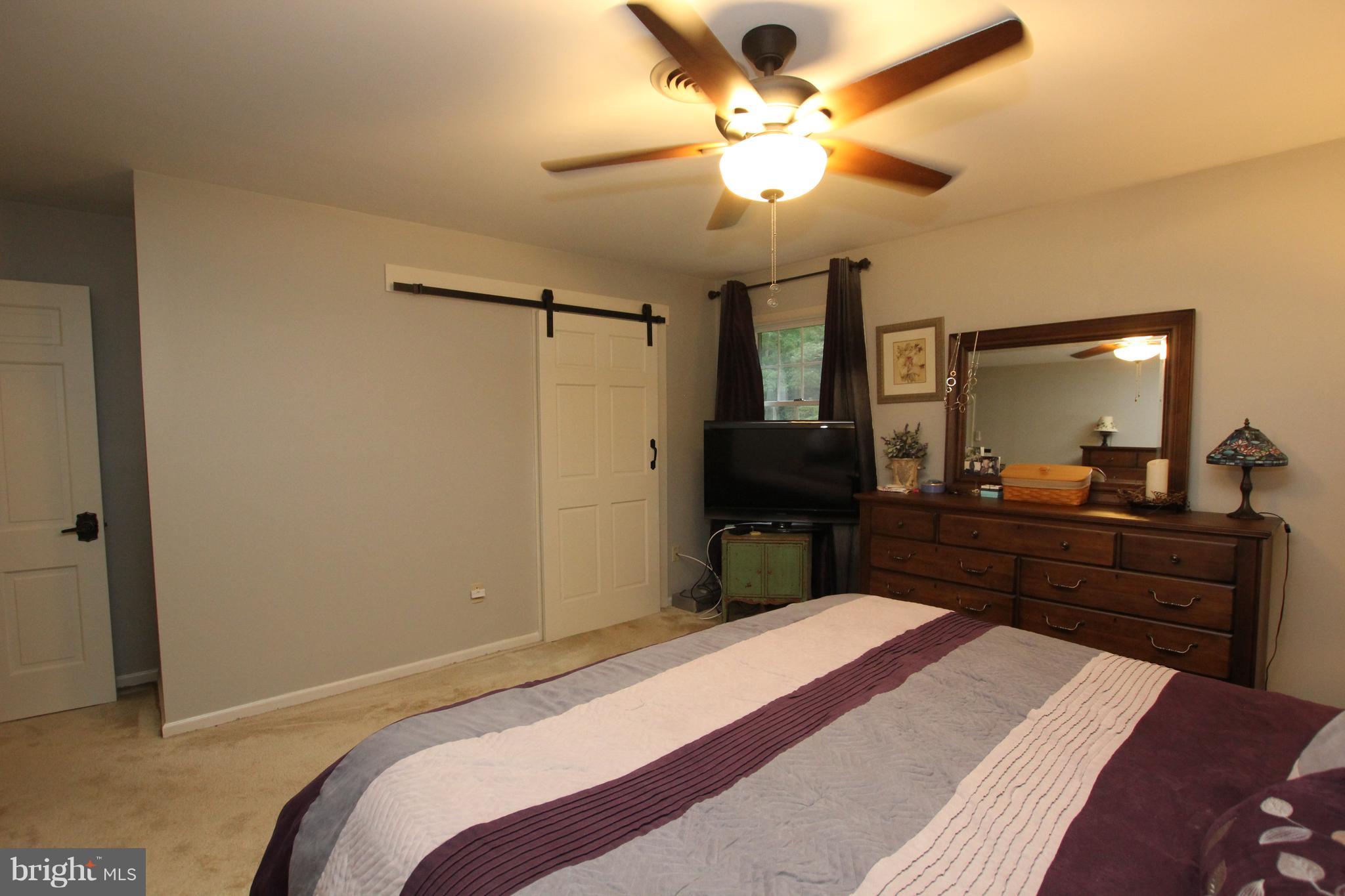 26558 Kaye Road Laurel, DE 19956 - Photo 23 of 43 Barn Door to En Suite