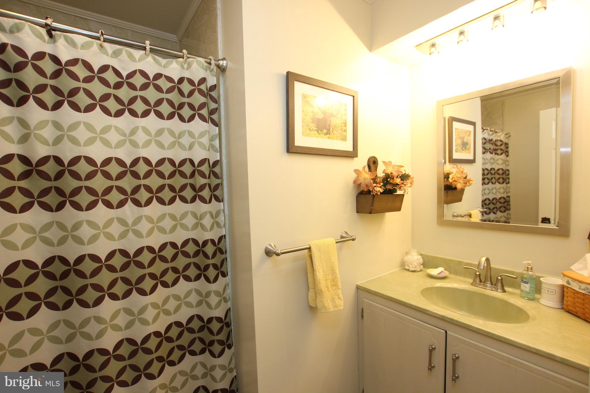 26558 Kaye Road Laurel, DE 19956 - Photo 31 of 43 Bathroom
