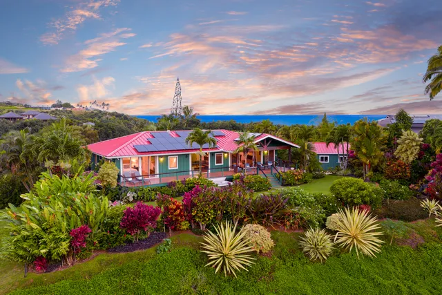 a view of a swimming pool with potted plants