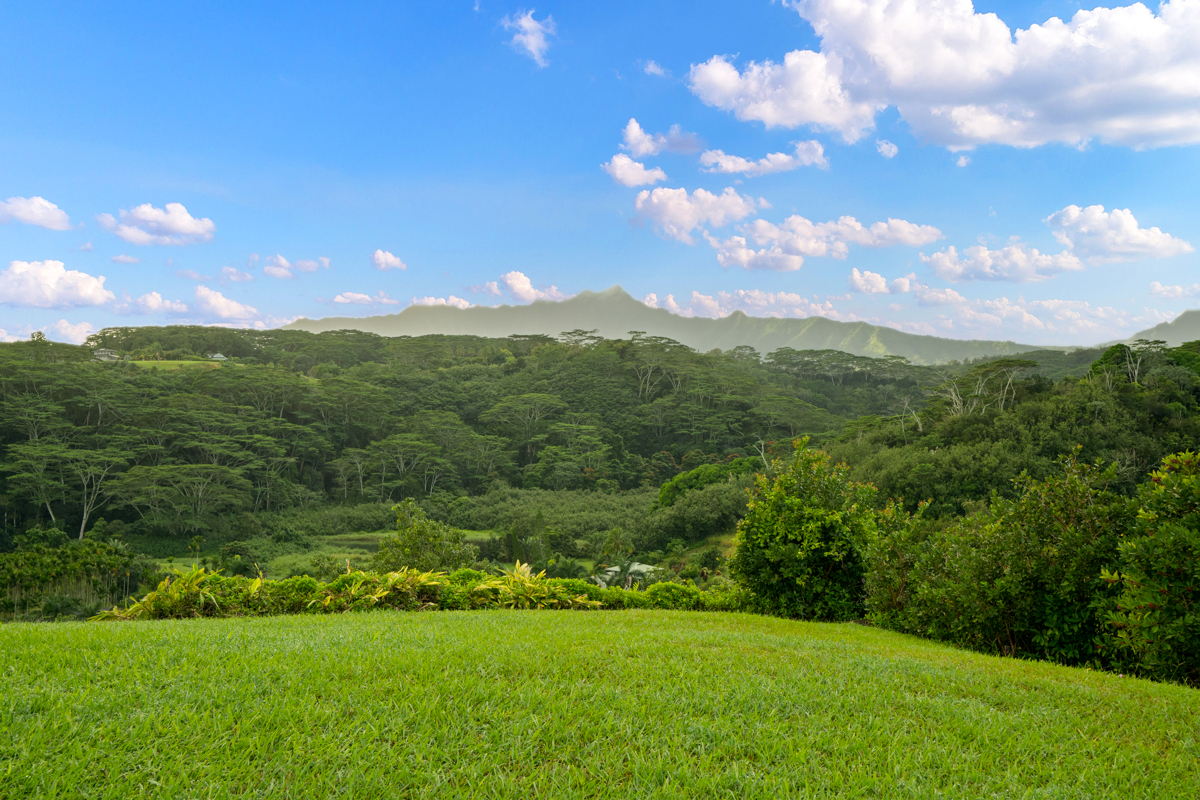 3275 Kalihiwai Road, Unit A & B Princeville, HI 96722 - Photo 24 of 30 a view of a city with lush green forest