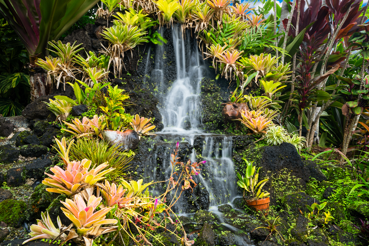 3275 Kalihiwai Road, Unit A & B Princeville, HI 96722 - Photo 29 of 30 a view of a tree