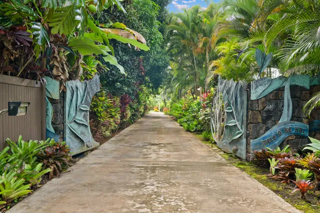a view of a garden with flowers