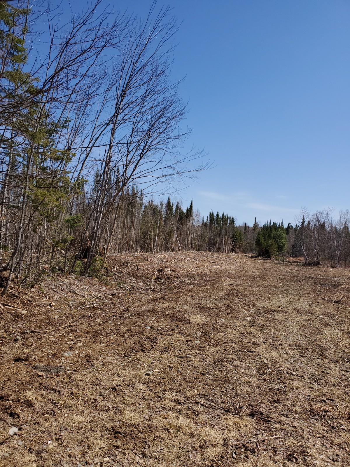 Lot 23 Allsbury Rd Mount Mount Chase, ME 04765 - Photo 4 of 6 20210424_114213