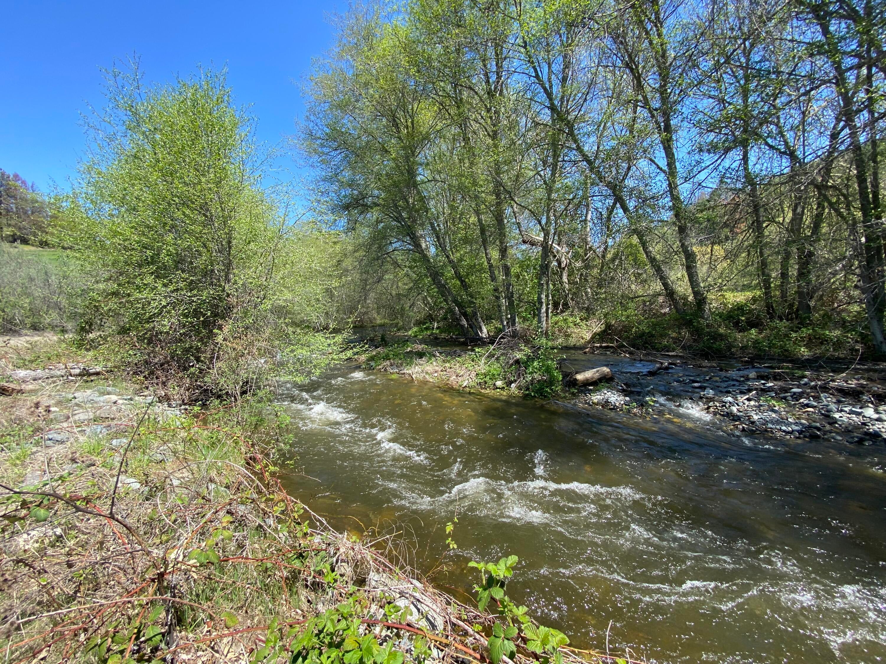 Looking NE Spring time