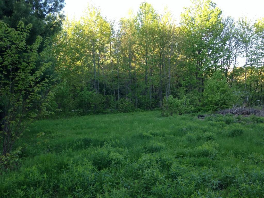 620 Edinburg Road Howland, ME 04448 - Photo 8 of 9 Land for Sale