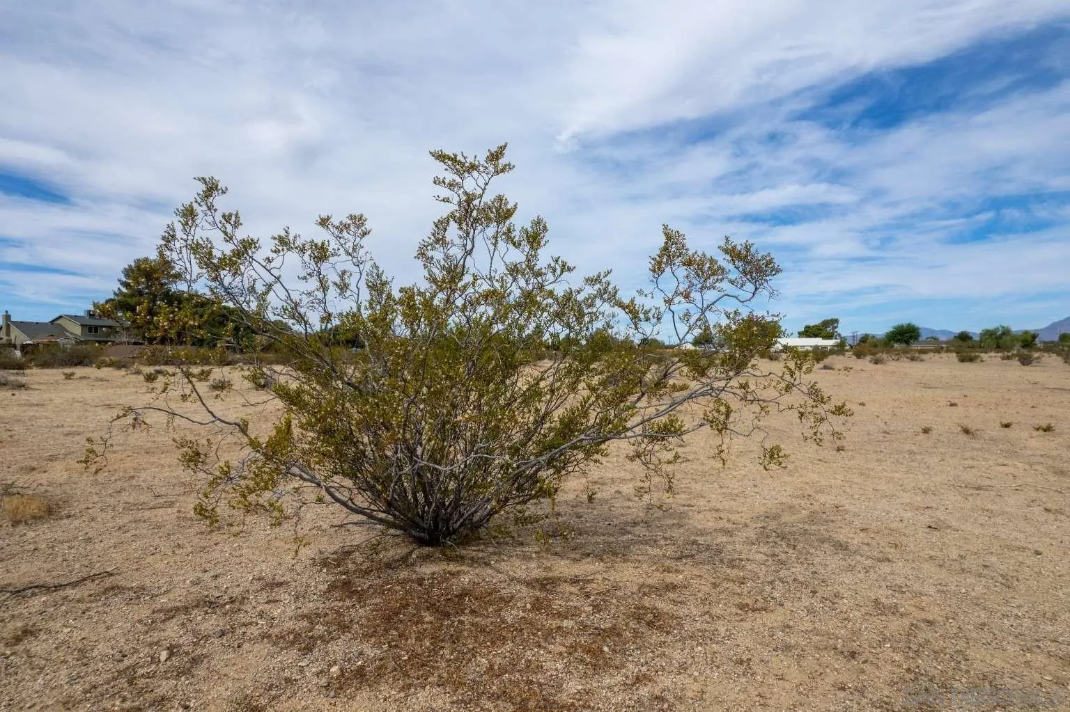 0 West Perch Avenue, Unit 15 Ridgecrest, CA 93555 - Photo 24 of 40 a view of a yard with a tree