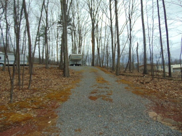 5343 Summer Road Robertsdale, PA 16674 - Photo 2 of 6 Gallery Image 2