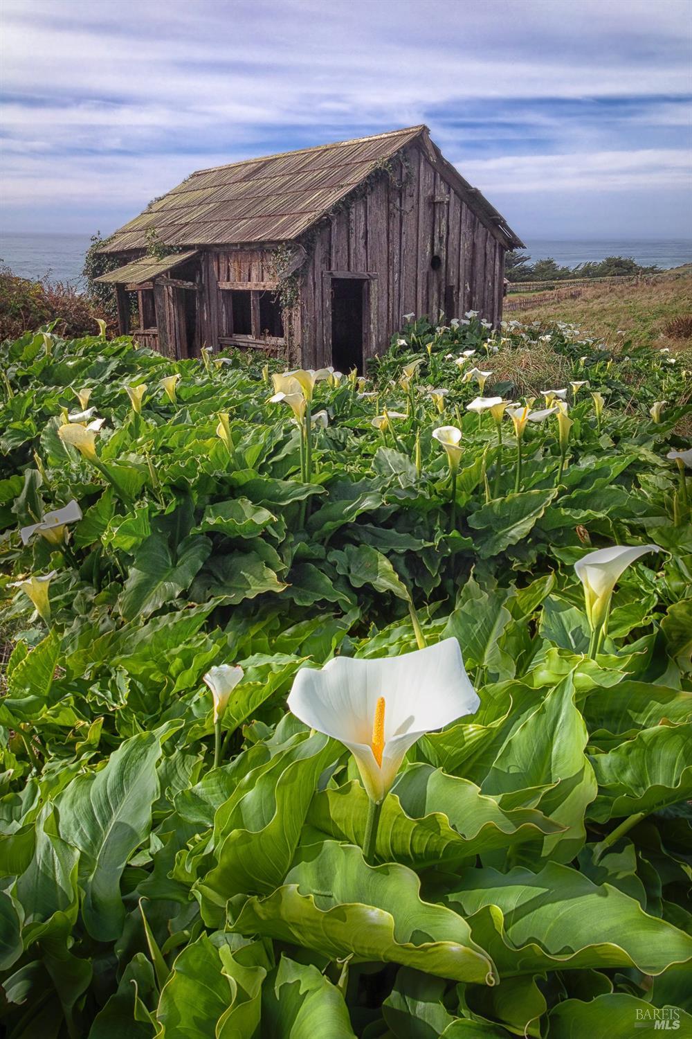 196 Broad Reach The Sea Ranch, CA 95497 - Photo 24 of 28