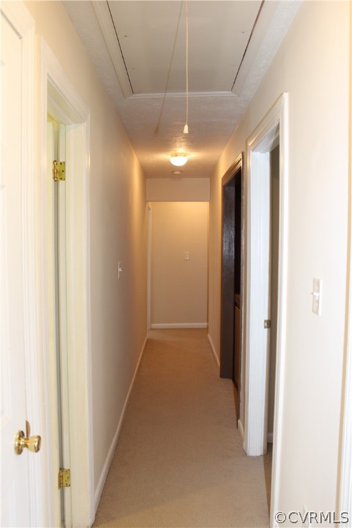 10735 River Road Chesterfield, VA 23838 - Photo 13 of 25 Hall to bedrooms