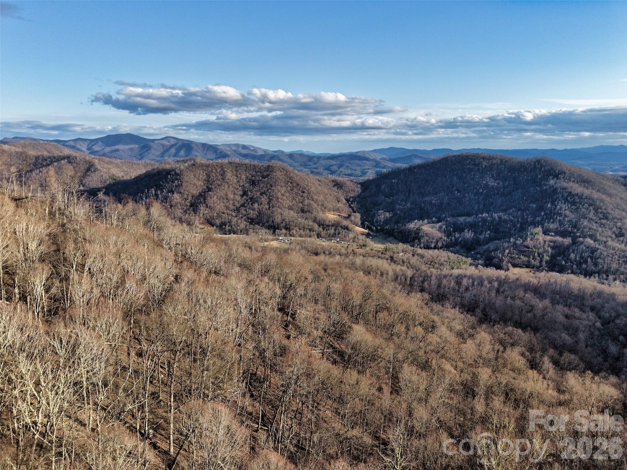 0 Fork Mountain Road Bakersville, NC 28705 - Photo 37 of 45