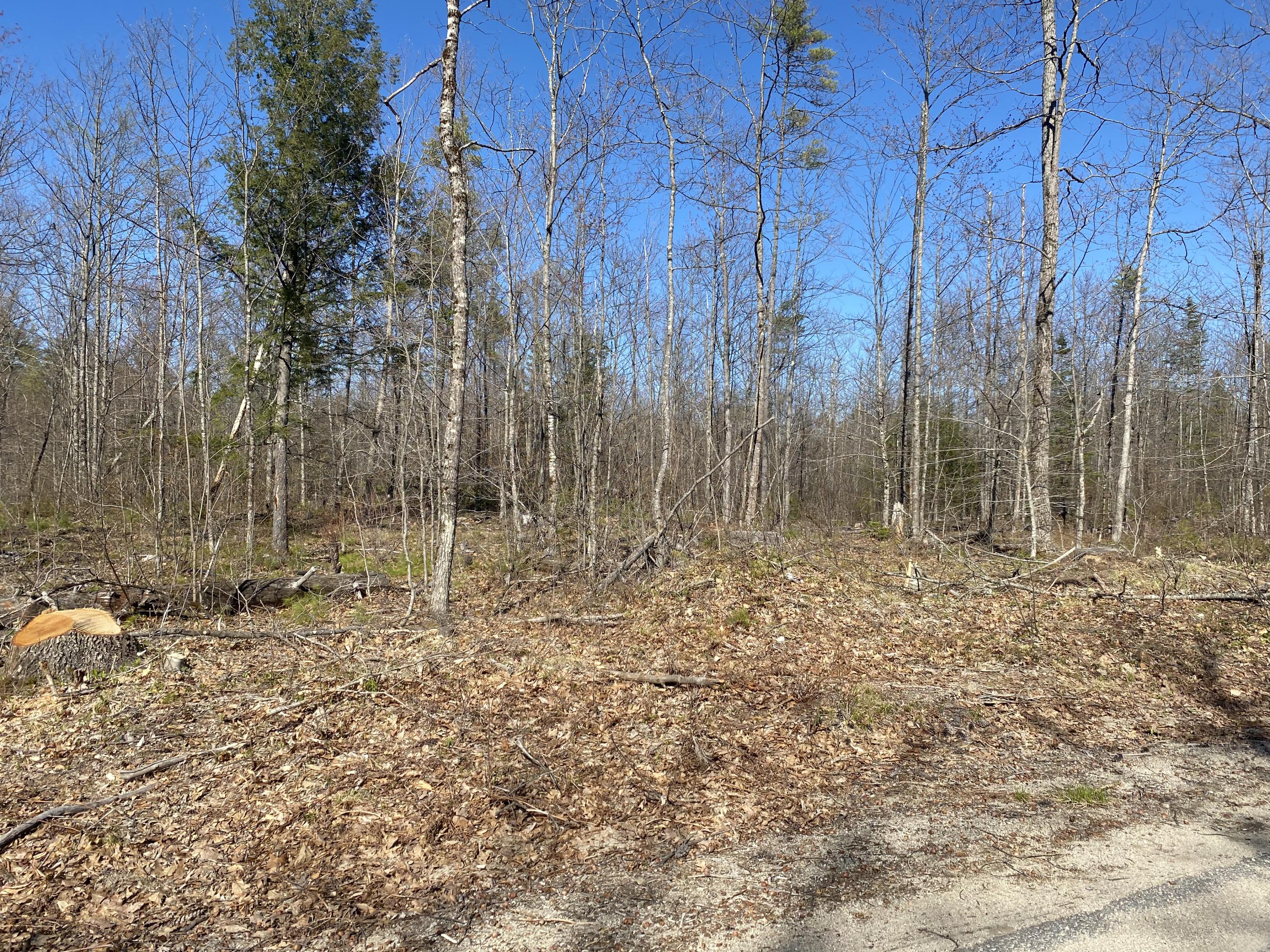 Lot 2 Sand Pond Road East Baldwin, ME 04024 - Photo 11 of 12 2D5E2822-93BA-46CF-BB1B-9C61EFFEEFE2