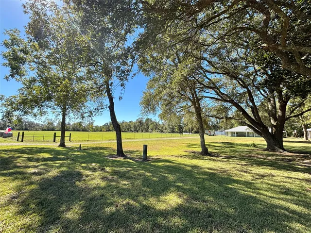 a view of swimming pool with a tree