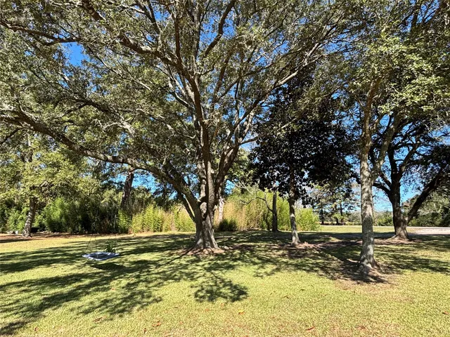 a view of a yard with a tree