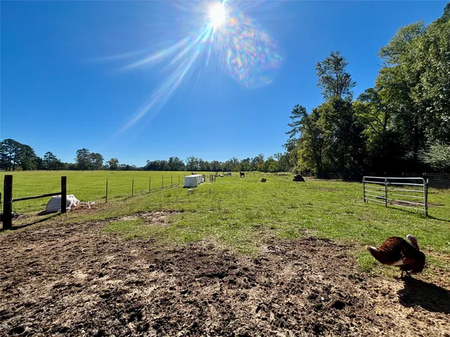 a view of an ocean from a yard