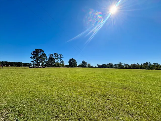 a view of field with tall trees