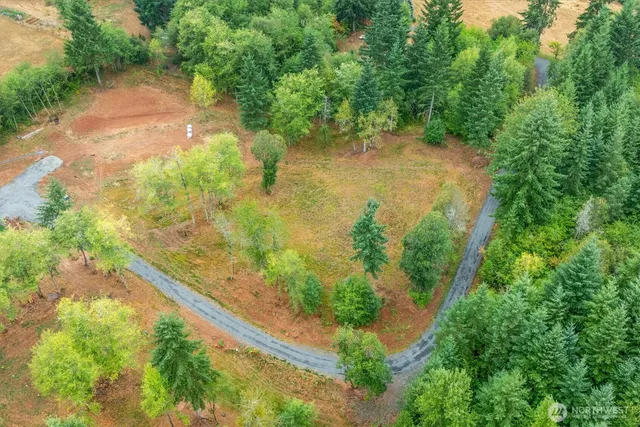 a view of a lake with large trees