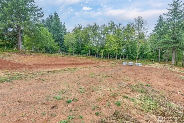a view of dirt field with trees in the background