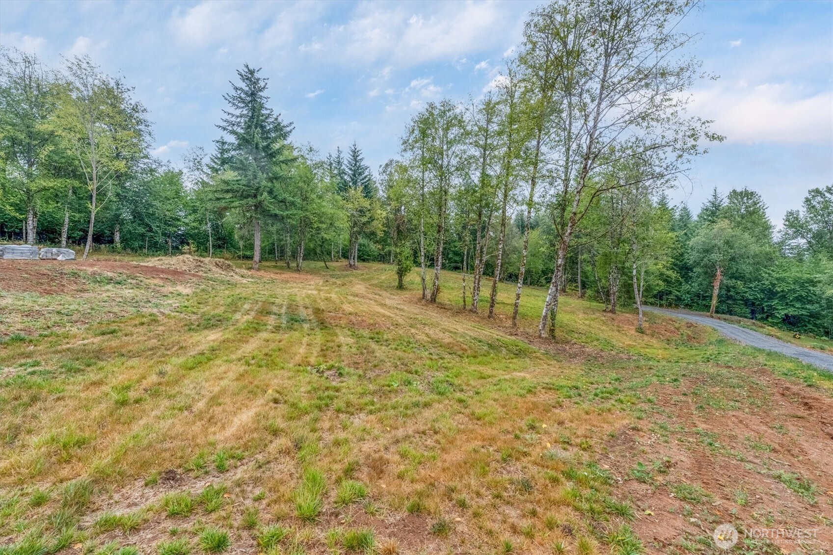133 Silverthistle Road Winlock, WA 98596 - Photo 5 of 15 a view of outdoor space with trees all around