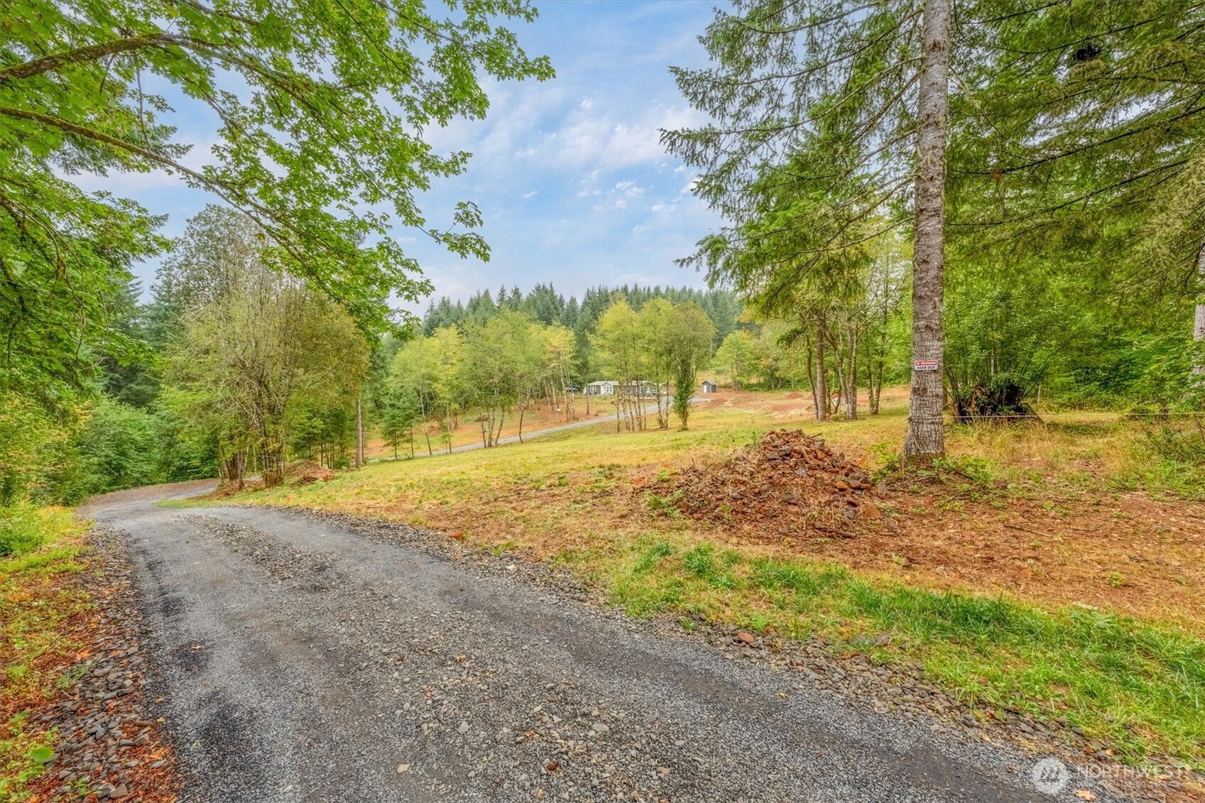 133 Silverthistle Road Winlock, WA 98596 - Photo 7 of 15 a view of a yard with plants and trees