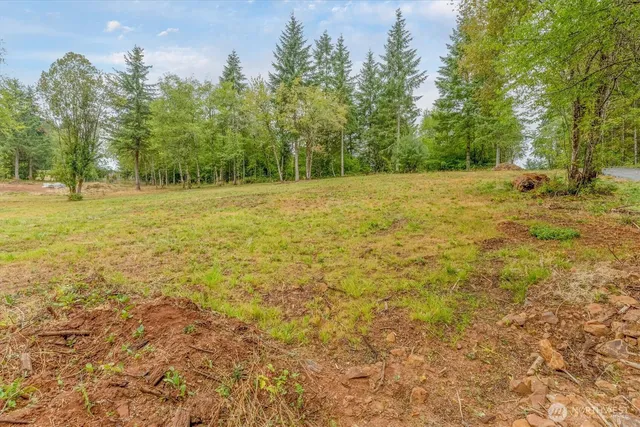 a view of a field with trees in the background