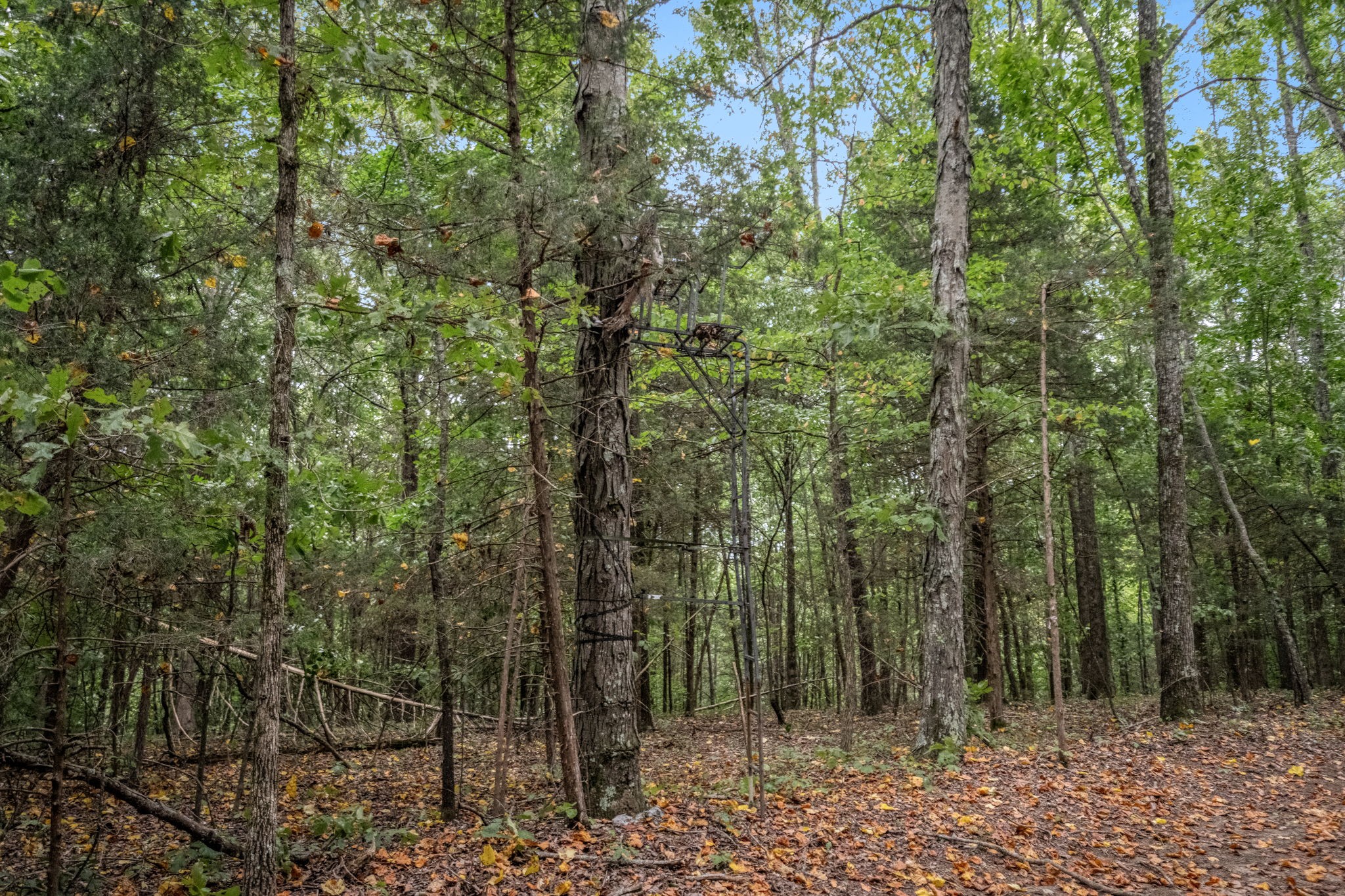 615 Carr Creek Road Normandy, TN 37360 - Photo 50 of 57 Gallery Image 50