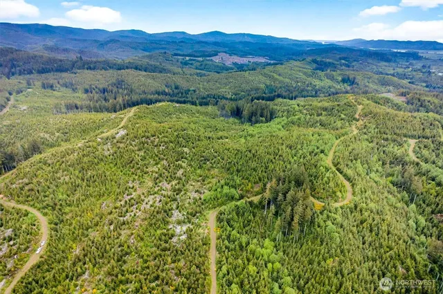 $219,000 | 1 Parpala Road, Unit 1, Naselle, WA 98638