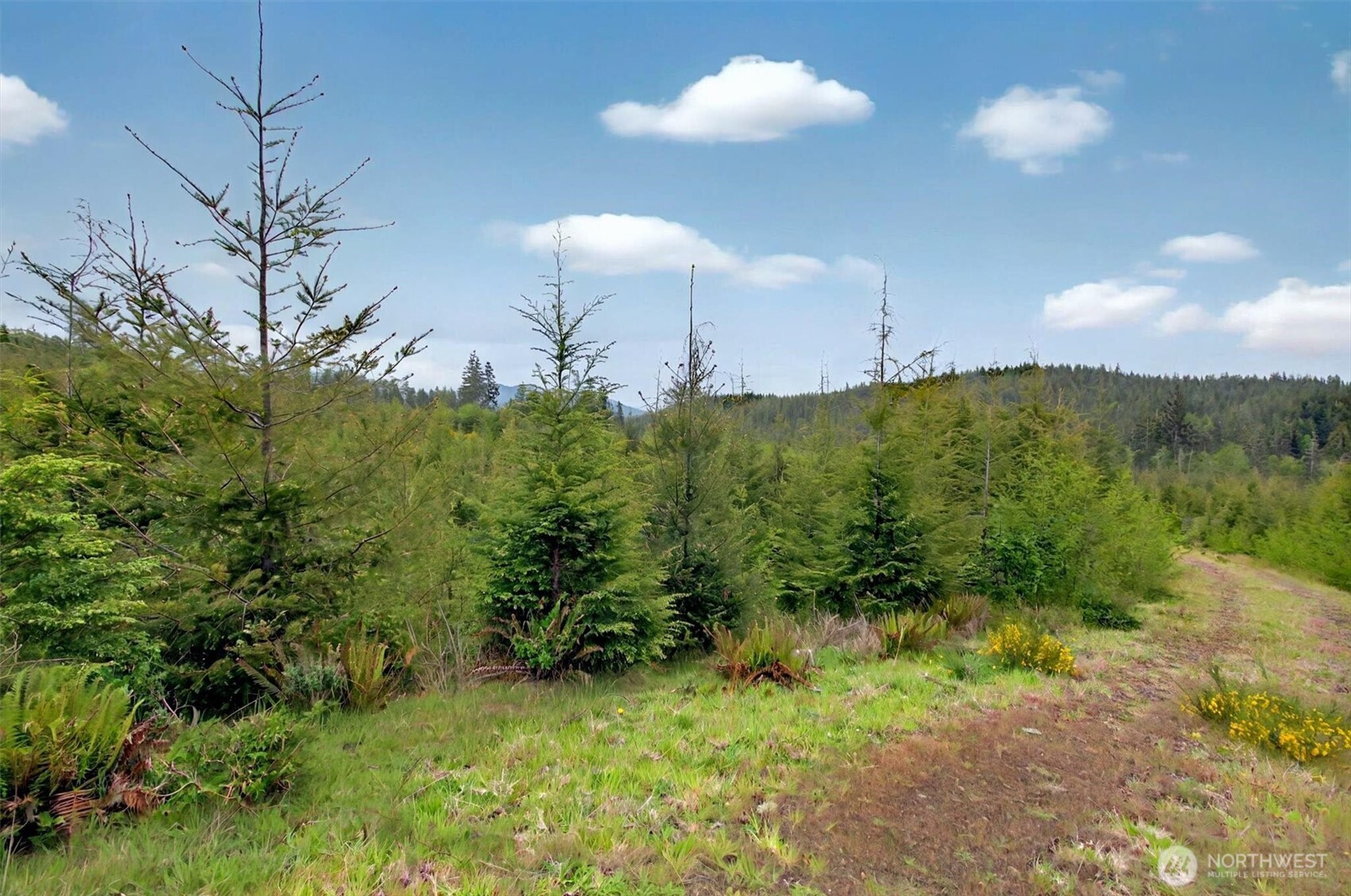 1 Parpala Road, Unit 1 Naselle, WA 98638 - Photo 2 of 9