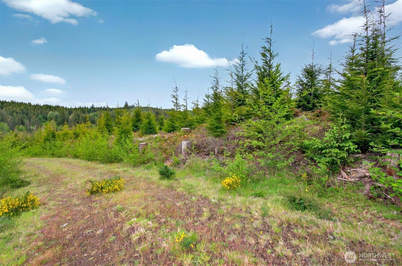 1 Parpala Road, Unit 1 Naselle, WA 98638 - Photo 3 of 9