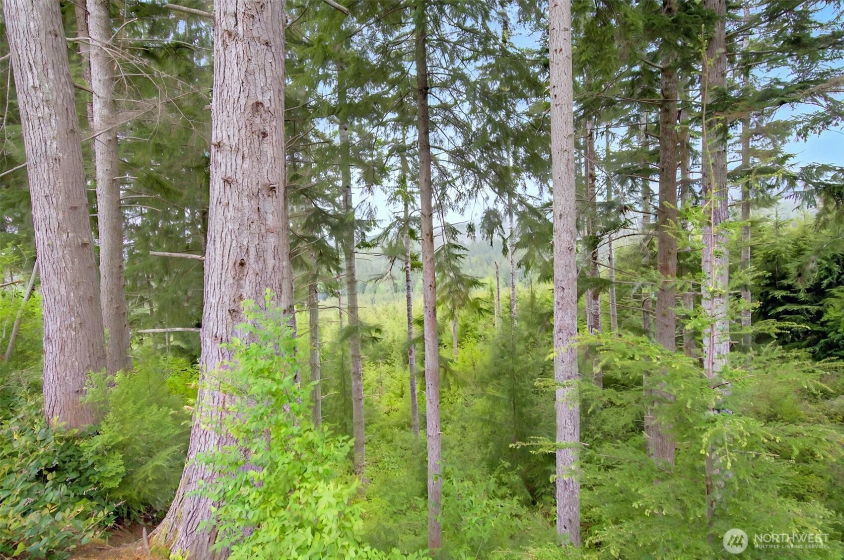 1 Parpala Road, Unit 1 Naselle, WA 98638 - Photo 5 of 9